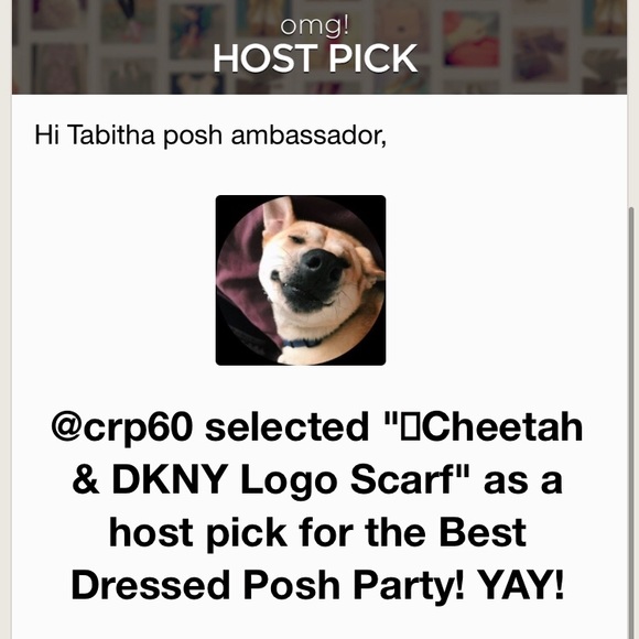 🎉HP🎉 Cheetah & DKNY Logo Scarf - Picture 2 of 2